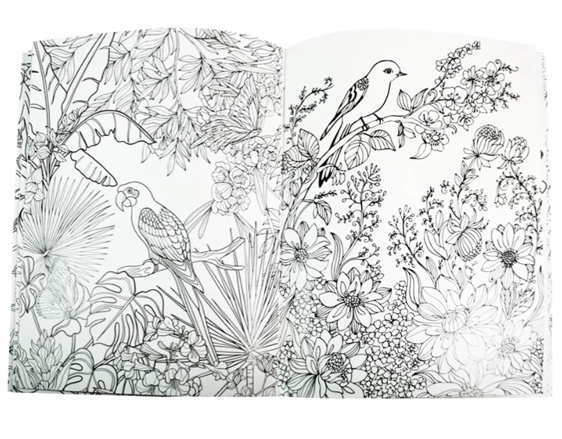 Kit Creativo "Calm and Peace – Colouring Birds" + Estuche TOTTO | Bloc de Dibujo | Lápices de Colores FABER-CASTELL | Accesorios para dibujar