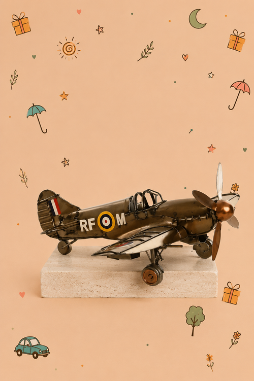 Avión Vintage de Metal | Decoración Retro y Coleccionable | Disponible en 2 Modelos